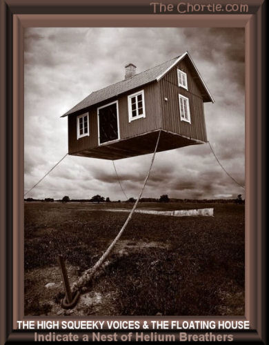 The high squeeky voices and the floating house indicate a nest of helium breathers.