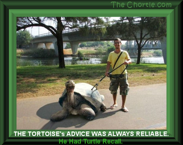 The tortoise's advice was always reliable.&nbsp;He had turtle recall.