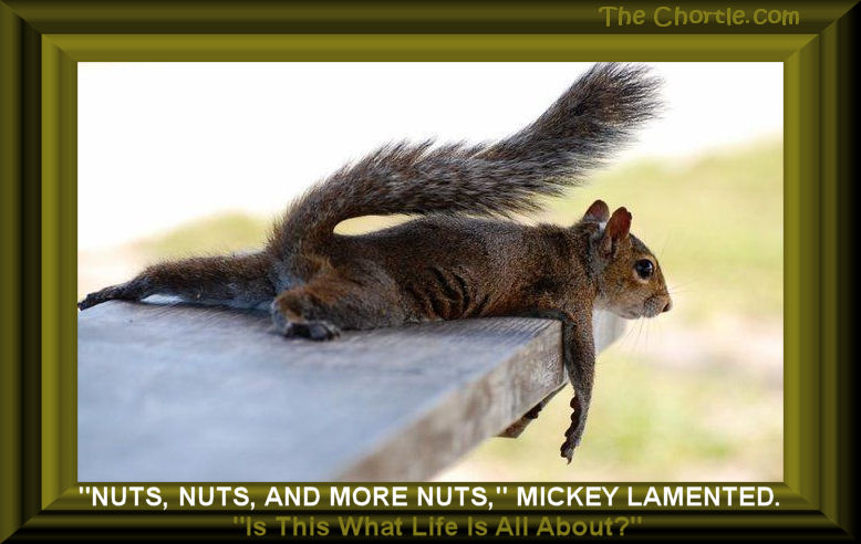 "Nuts, nuts, and more nuts," Mickey lamented.&nbsp;"Is this what life is all about?"