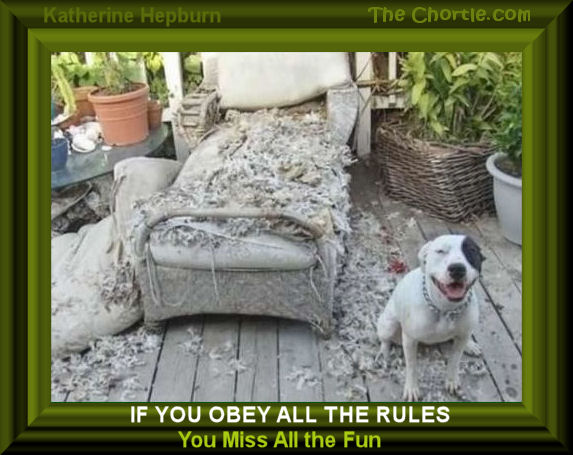 If you obey all of the rules, you miss all the fun.&nbsp;Katherine Hepburn.