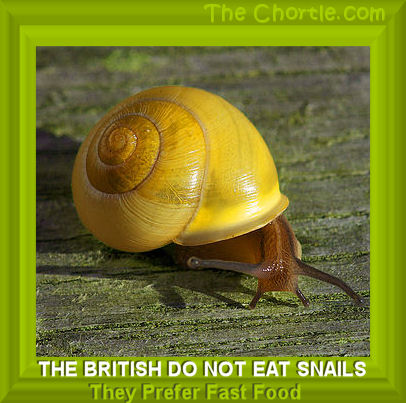 The British do not eat snails.&nbsp;They prefer fast food.