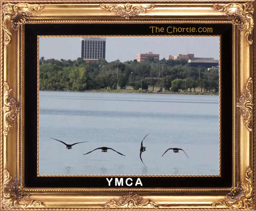 YMCA