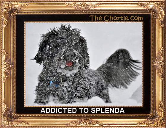 Addicted to Splenda