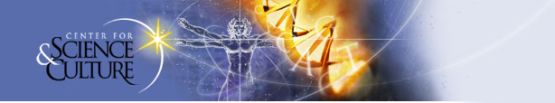 CSC Header Graphic